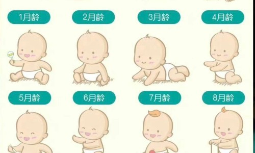 最好的婴儿润肤油-婴儿营养润肤乳排名网 - 婴儿润肤油十大排名,婴儿润肤乳正确使用方法